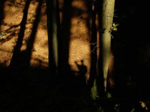 Are the people who are coming to your blog simply getting lost in the woods?